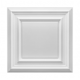 Takplafond K209