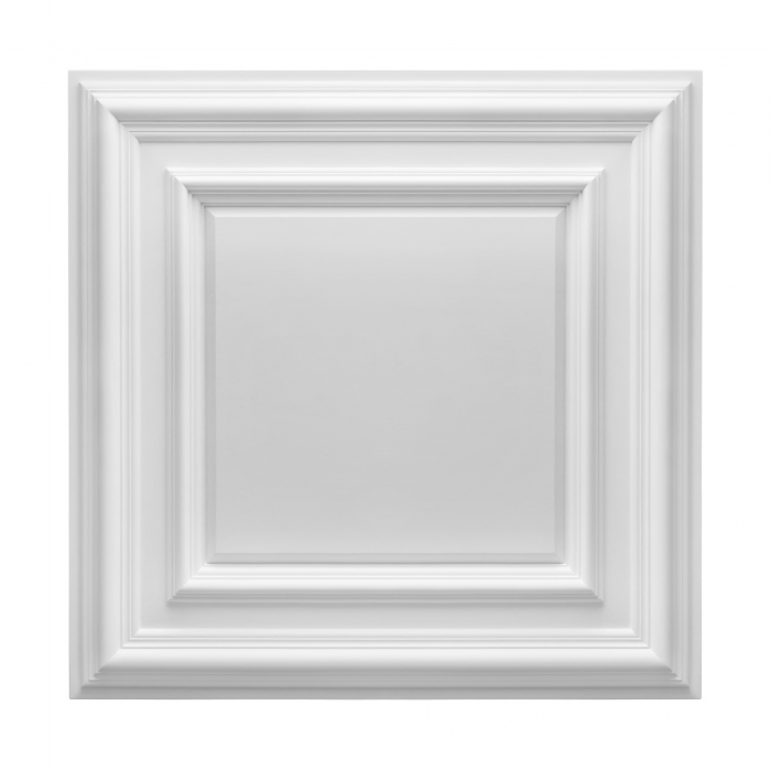Takplafond K209
